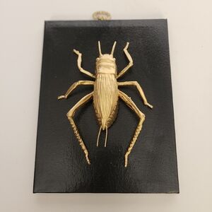 Handmade By Me Cricket Bug Art